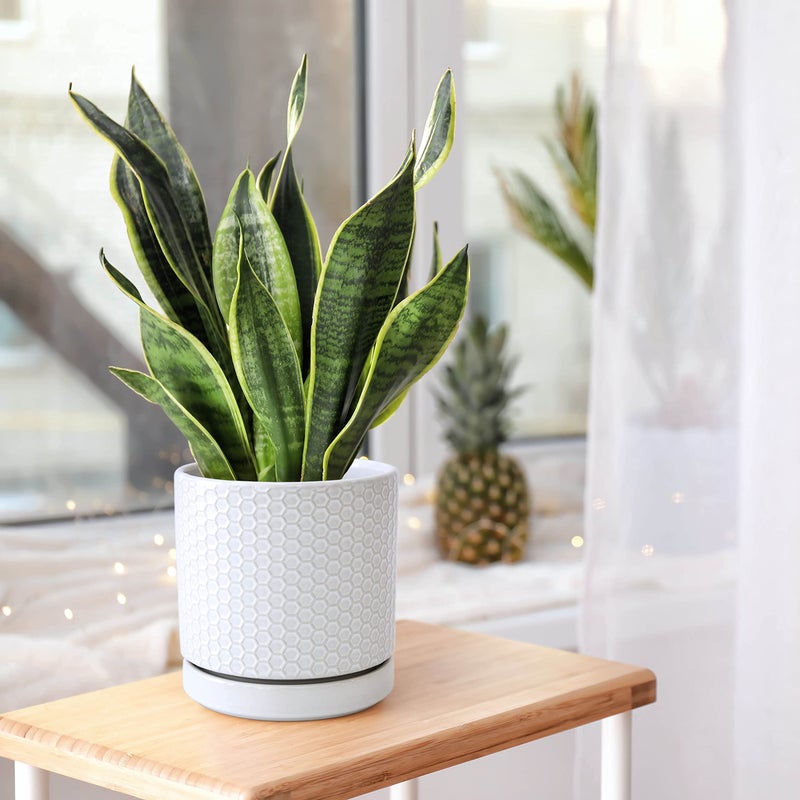 D'vine Dev Set of 2 Modern Matte White Honeycomb Embossed Ceramic Planter Pots with Saucer and Drainage Hole, 4 Inch & 6 Inch, 99-C-1-N - Image 4